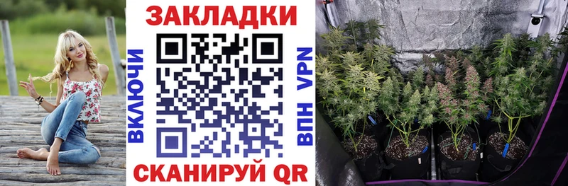 Наркошоп купить ГАШ  Альфа ПВП  АМФ  Канабис  МЕФ  Новошахтинск