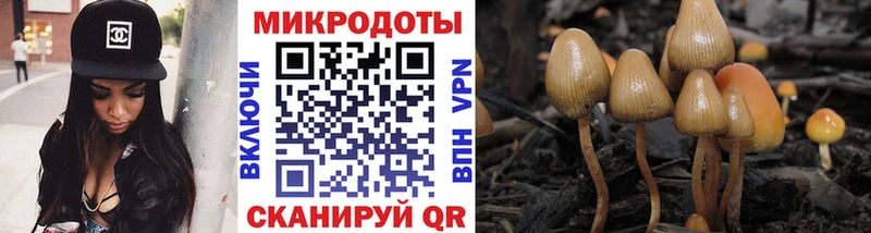 Галлюциногенные грибы мухоморы  Купить  Новошахтинск 